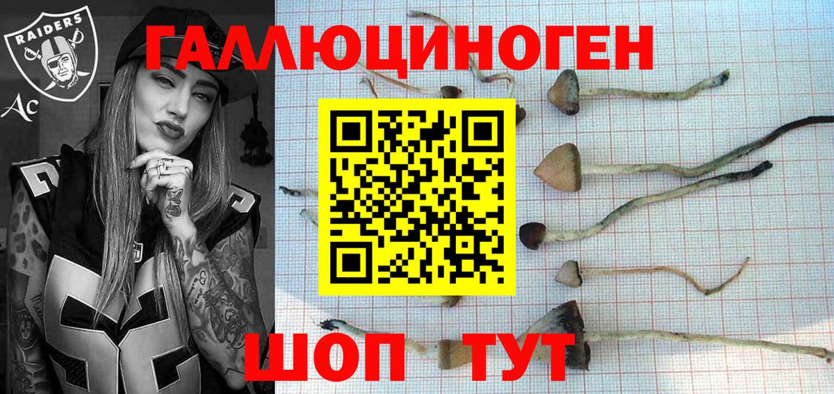 Ишимбай  Псилоцибиновые грибы ЛСД  Вход с VPN 