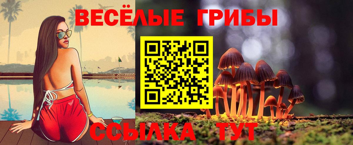 Галлюциногенные грибы Magic Shrooms Ишимбай